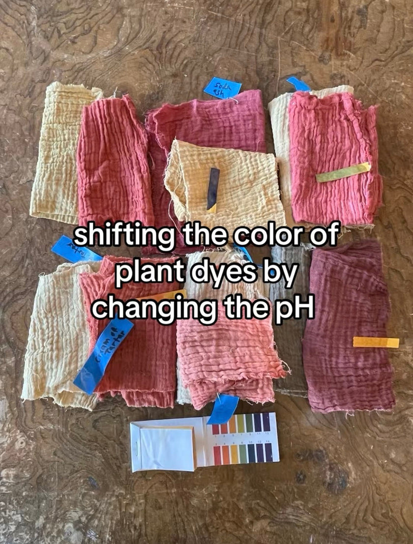 Playing with pH in Botanical Dyes