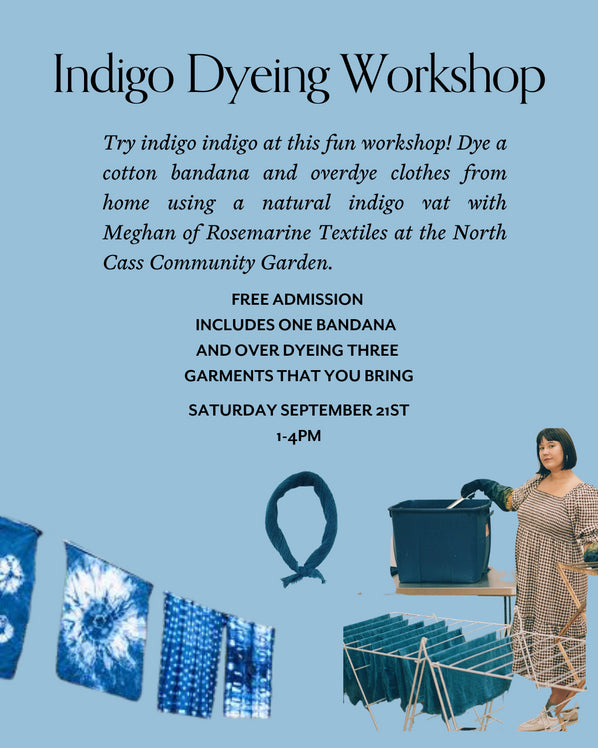 Free Indigo Dye Workshop at North Cass Community Garden