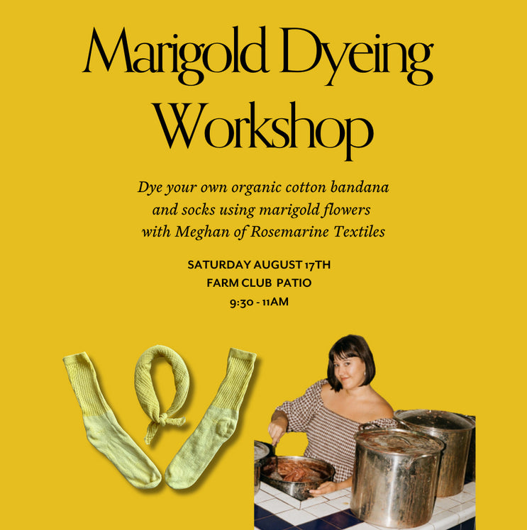 Marigold Dyeing Workshop at Farm Club