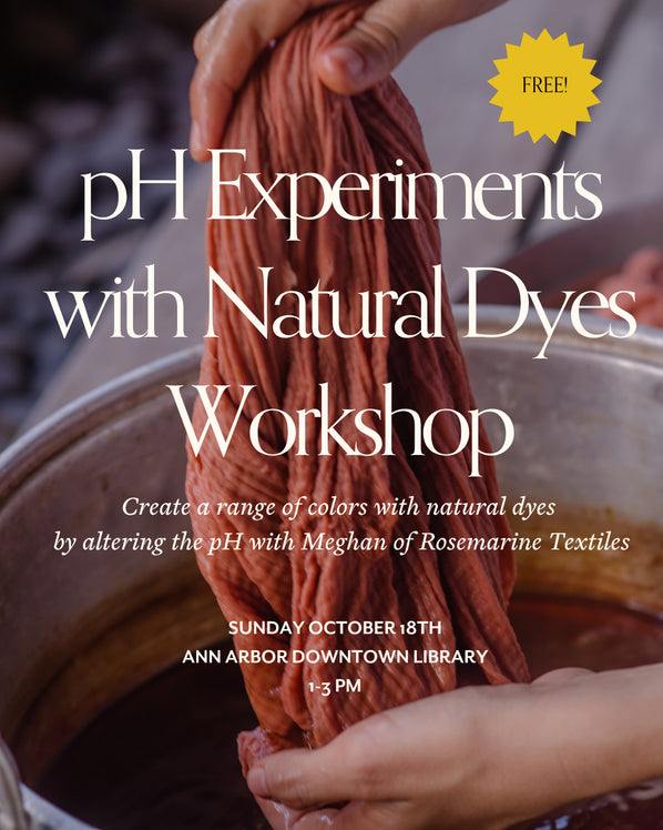 Free class at Ann Arbor Library Downtown