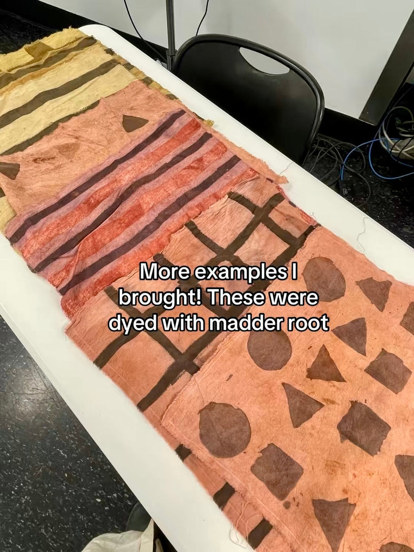 Natural Dyeing with Mordant Paste Class at the Ann Arbor Public Library